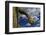 Saguaro cactus buds, Organ Pipe Cactus National Monument, Sonora Desert, Arizona, USA-Jouan Rius-Framed Photographic Print