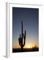 Saguaro Cactus (Camegiea Gigantea) Silhouetted at Sunset-Richard Maschmeyer-Framed Photographic Print