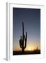 Saguaro Cactus (Camegiea Gigantea) Silhouetted at Sunset-Richard Maschmeyer-Framed Photographic Print