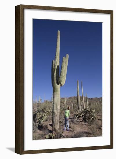 Saguaro Cactus (Camegiea Gigantea)-Richard Maschmeyer-Framed Photographic Print