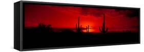 Saguaro Cactus (Carnegiea Gigantea) in a Desert at Dusk, Arizona, USA-null-Framed Stretched Canvas