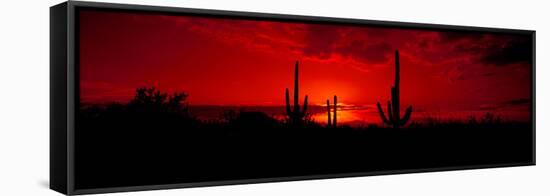 Saguaro Cactus (Carnegiea Gigantea) in a Desert at Dusk, Arizona, USA-null-Framed Stretched Canvas