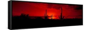 Saguaro Cactus (Carnegiea Gigantea) in a Desert at Dusk, Arizona, USA-null-Framed Stretched Canvas