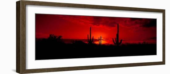 Saguaro Cactus (Carnegiea Gigantea) in a Desert at Dusk, Arizona, USA-null-Framed Photographic Print