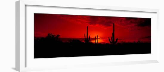 Saguaro Cactus (Carnegiea Gigantea) in a Desert at Dusk, Arizona, USA-null-Framed Photographic Print