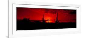 Saguaro Cactus (Carnegiea Gigantea) in a Desert at Dusk, Arizona, USA-null-Framed Photographic Print