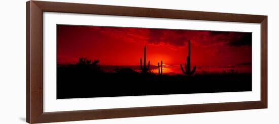 Saguaro Cactus (Carnegiea Gigantea) in a Desert at Dusk, Arizona, USA-null-Framed Photographic Print