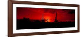 Saguaro Cactus (Carnegiea Gigantea) in a Desert at Dusk, Arizona, USA-null-Framed Photographic Print