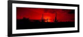 Saguaro Cactus (Carnegiea Gigantea) in a Desert at Dusk, Arizona, USA-null-Framed Photographic Print