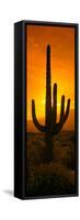 Saguaro Cactus (Carnegiea Gigantea) in a Desert at Sunrise, Arizona, USA-null-Framed Stretched Canvas