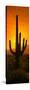 Saguaro Cactus (Carnegiea Gigantea) in a Desert at Sunrise, Arizona, USA-null-Stretched Canvas