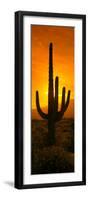 Saguaro Cactus (Carnegiea Gigantea) in a Desert at Sunrise, Arizona, USA-null-Framed Photographic Print