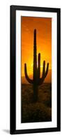 Saguaro Cactus (Carnegiea Gigantea) in a Desert at Sunrise, Arizona, USA-null-Framed Photographic Print