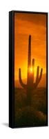 Saguaro Cactus (Carnegiea Gigantea) in a Desert at Sunrise, Arizona, USA-null-Framed Stretched Canvas