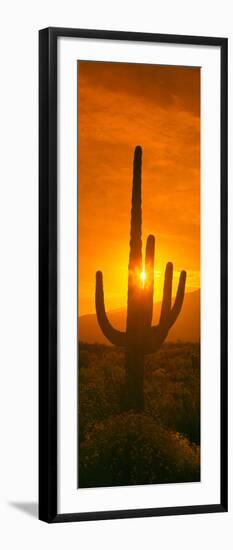 Saguaro Cactus (Carnegiea Gigantea) in a Desert at Sunrise, Arizona, USA-null-Framed Premium Photographic Print