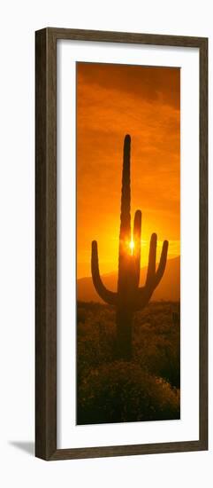 Saguaro Cactus (Carnegiea Gigantea) in a Desert at Sunrise, Arizona, USA-null-Framed Photographic Print