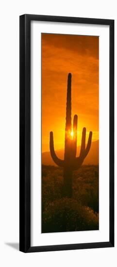 Saguaro Cactus (Carnegiea Gigantea) in a Desert at Sunrise, Arizona, USA-null-Framed Photographic Print