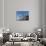 Saguaro cactus (Carnegiea gigantea), Organ Pipe Cactus National Monument, Sonoran Desert, Arizona-Michael Nolan-Photographic Print displayed on a wall