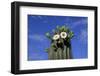 Saguaro Cactus (Cereus giganteus) flowering, Sonora Desert, Arizona, USA-Jurgen & Christine Sohns-Framed Photographic Print