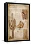 Saguaro Cactus - da Vinci Style-Lantern Press-Framed Stretched Canvas