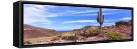 Saguaro Cactus in Arid Area, El Embudo, Isla Partida, La Paz, Baja California Sur, Mexico-null-Framed Stretched Canvas