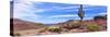 Saguaro Cactus in Arid Area, El Embudo, Isla Partida, La Paz, Baja California Sur, Mexico-null-Stretched Canvas