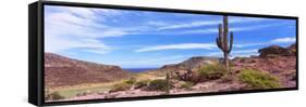 Saguaro Cactus in Arid Area, El Embudo, Isla Partida, La Paz, Baja California Sur, Mexico-null-Framed Stretched Canvas