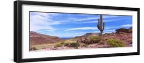 Saguaro Cactus in Arid Area, El Embudo, Isla Partida, La Paz, Baja California Sur, Mexico-null-Framed Photographic Print