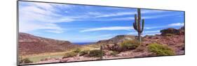 Saguaro Cactus in Arid Area, El Embudo, Isla Partida, La Paz, Baja California Sur, Mexico-null-Mounted Photographic Print