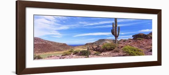 Saguaro Cactus in Arid Area, El Embudo, Isla Partida, La Paz, Baja California Sur, Mexico-null-Framed Photographic Print