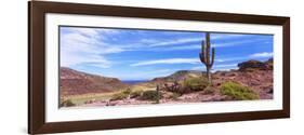 Saguaro Cactus in Arid Area, El Embudo, Isla Partida, La Paz, Baja California Sur, Mexico-null-Framed Photographic Print