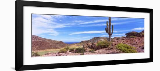 Saguaro Cactus in Arid Area, El Embudo, Isla Partida, La Paz, Baja California Sur, Mexico-null-Framed Photographic Print