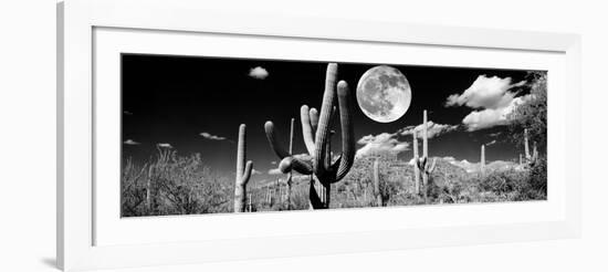 Saguaro cactus in moonlight at Saguaro National Park, Tucson, Arizona, USA-null-Framed Photographic Print