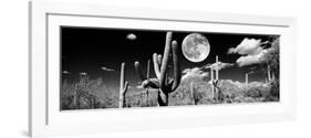 Saguaro cactus in moonlight at Saguaro National Park, Tucson, Arizona, USA-null-Framed Photographic Print