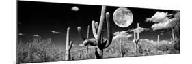 Saguaro cactus in moonlight at Saguaro National Park, Tucson, Arizona, USA-null-Mounted Photographic Print