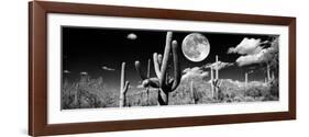 Saguaro cactus in moonlight at Saguaro National Park, Tucson, Arizona, USA-null-Framed Photographic Print