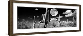 Saguaro cactus in moonlight at Saguaro National Park, Tucson, Arizona, USA-null-Framed Photographic Print