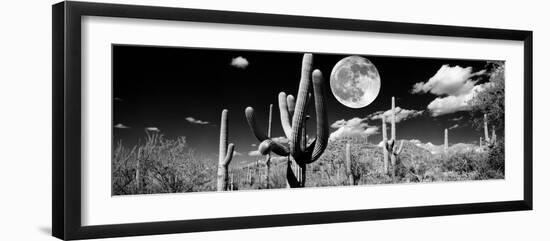 Saguaro cactus in moonlight at Saguaro National Park, Tucson, Arizona, USA-null-Framed Photographic Print