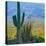 Saguaro Cactus in Saguaro National Park, Arizona,USA-Anna Miller-Stretched Canvas