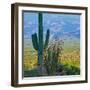 Saguaro Cactus in Saguaro National Park, Arizona,USA-Anna Miller-Framed Premium Photographic Print