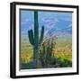 Saguaro Cactus in Saguaro National Park, Arizona,USA-Anna Miller-Framed Premium Photographic Print