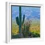 Saguaro Cactus in Saguaro National Park, Arizona,USA-Anna Miller-Framed Premium Photographic Print