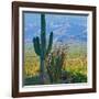 Saguaro Cactus in Saguaro National Park, Arizona,USA-Anna Miller-Framed Photographic Print