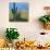 Saguaro Cactus in Saguaro National Park, Arizona,USA-Anna Miller-Photographic Print displayed on a wall