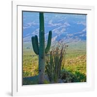 Saguaro Cactus in Saguaro National Park, Arizona,USA-Anna Miller-Framed Photographic Print