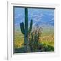 Saguaro Cactus in Saguaro National Park, Arizona,USA-Anna Miller-Framed Photographic Print