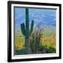 Saguaro Cactus in Saguaro National Park, Arizona,USA-Anna Miller-Framed Photographic Print