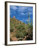 Saguaro Cactus in Sonoran Desert, Saguaro National Park, Arizona, USA-Dee Ann Pederson-Framed Photographic Print