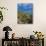 Saguaro Cactus in Sonoran Desert, Saguaro National Park, Arizona, USA-Dee Ann Pederson-Photographic Print displayed on a wall