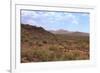 Saguaro Cactus Landscape Organ Pipe National Park Arizona-Charles Harker-Framed Photographic Print